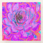 紫とマゼンタの多汁性セダムロゼット ガラスコースター (正面)