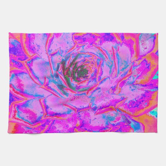 紫とマゼンタの多汁性セダムロゼット キッチンタオル (横)