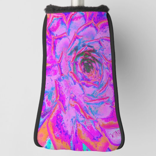 紫とマゼンタの多汁性セダムロゼット ゴルフヘッドカバー (回転90)