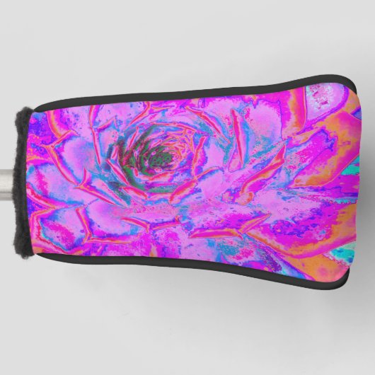 紫とマゼンタの多汁性セダムロゼット ゴルフヘッドカバー (正面)