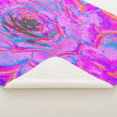 紫とマゼンタの多汁性セダムロゼット シェルパブランケット (3/4)