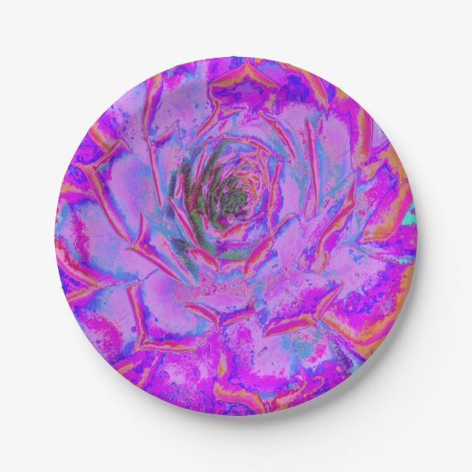 紫とマゼンタの多汁性セダムロゼット ペーパープレート (正面)