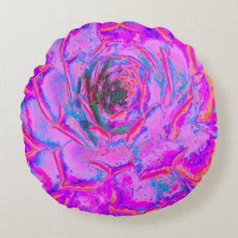 紫とマゼンタの多汁性セダムロゼット ラウンドクッション