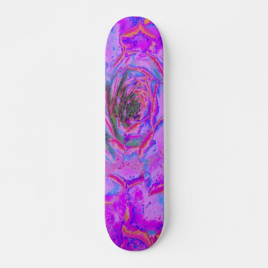 紫とマゼンタの多肉植物 セダムロゼット スケートボード (正面)