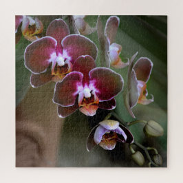 紫とマルーンの蘭 ジグソーパズル