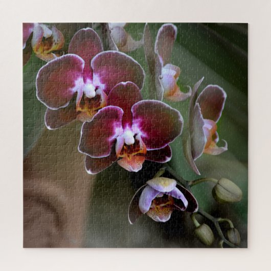 紫とマルーンの蘭 ジグソーパズル (縦)