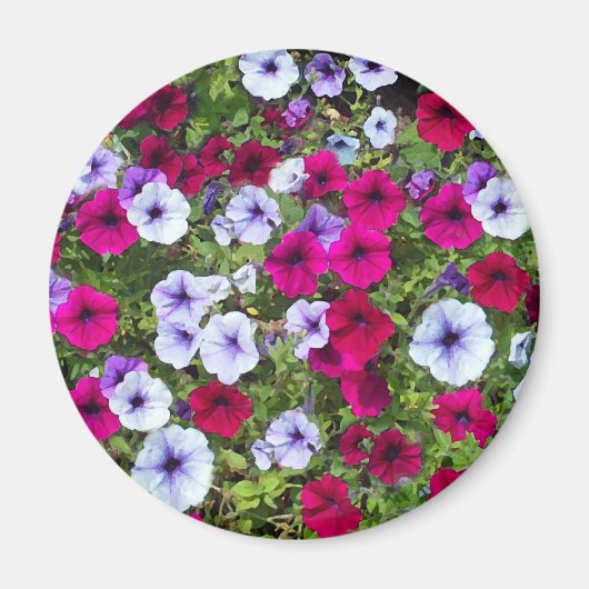 紫とラベンダーの花: マグネット (正面)