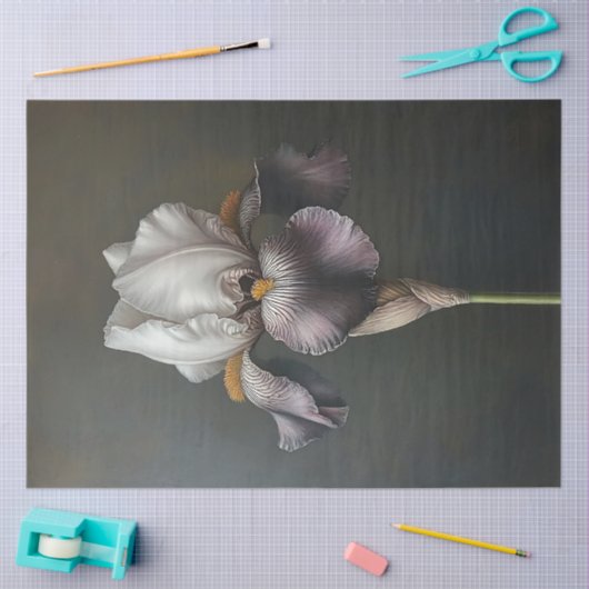 紫と白のアイリスの植物絵を描の切り離 薄葉紙 (クラフト)