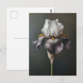 紫と白のアイリスの絵を描植物 ポストカード (正面/裏面)
