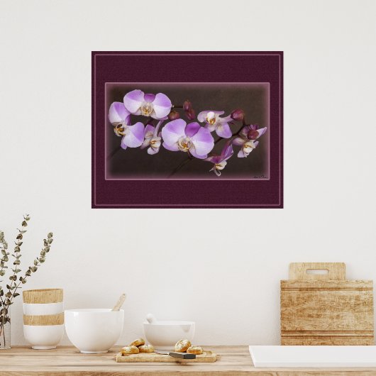 紫と白のオーキッドクローズアップ写真 ポスター (キッチン)