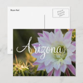 紫と白のサボテンの花（アリゾナ） ポストカード (正面/裏面)