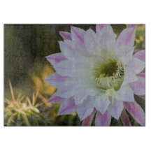 紫と白のサボテンの花