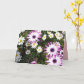 紫と白のダージリンの花園の感謝カード カード (黄色い花)