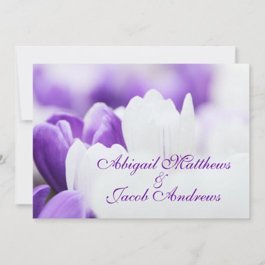 紫と白のチューリップフラワーズ結婚式招待状 招待状 (裏面)