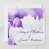 紫と白のチューリップ花 – 結婚式招待状 招待状 (裏面)