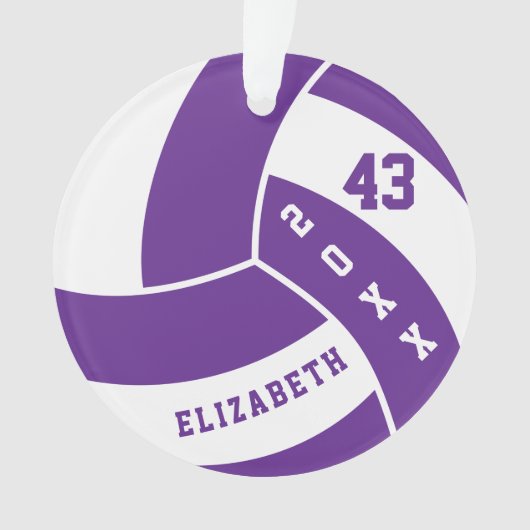 紫と白のバレーボール4 | DIY名 オーナメント (正面)