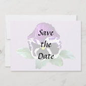 紫と白のパンジー セーブザデート (裏面)