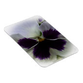 紫と白のパンジー マグネット (右側)