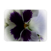 紫と白のパンジー マグネット (横)