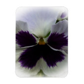 紫と白のパンジー マグネット (縦)
