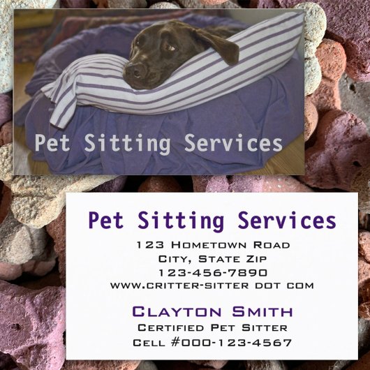 紫と白の枕に横たわるチョコレートラボ 名刺