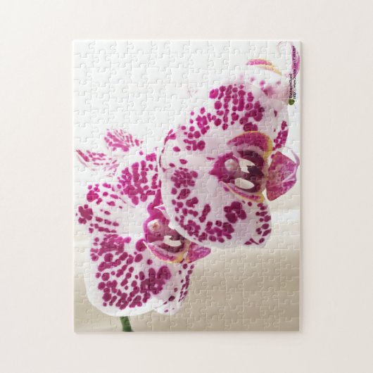 紫と白の熱帯蘭の写真2枚 ジグソーパズル (縦)