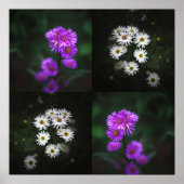 紫と白の花 ポスター (正面)