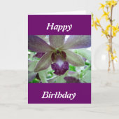 紫と白の蘭 カード (黄色い花)