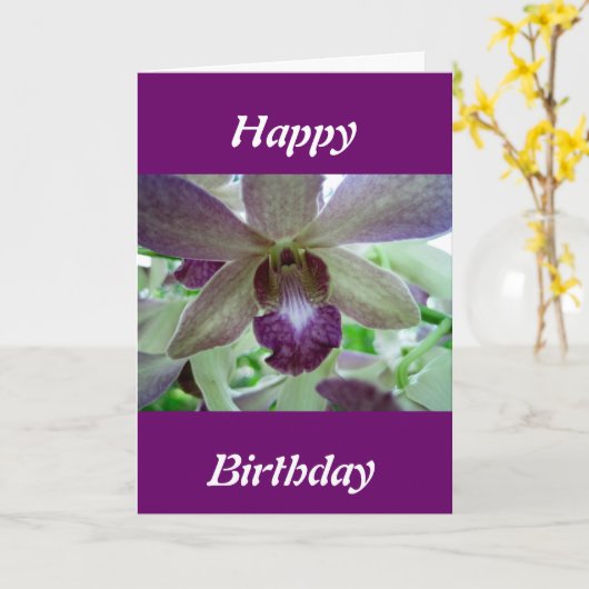 紫と白の蘭 カード (黄色い花)