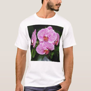 紫と白の蘭 Tシャツ