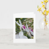 紫と白の蛾の蘭のカ空白のード カード (黄色い花)