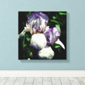 紫と白ひげ菖蒲の花ペア キャンバスプリント (インサイチュ (ウッドフロア))
