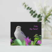 紫と緑のを持つ北のモック葉ス鳥 ポストカード (スタンド正面)