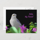 紫と緑のを持つ北のモック葉ス鳥 ポストカード (正面/裏面)