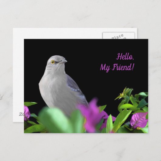 紫と緑のを持つ北のモック葉ス鳥 ポストカード (正面/裏面)