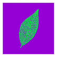 紫と緑のスケルトンリーフの線画