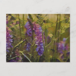 紫と緑の北極ルピネ ポストカード