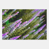 紫と緑の野草 ラッピングペーパーシート (正面)