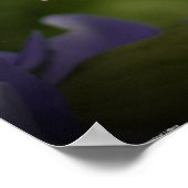 紫と緑 ポスター (角)