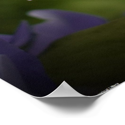 紫と緑 ポスター (角)