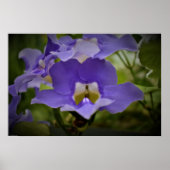 紫と緑 ポスター (正面)