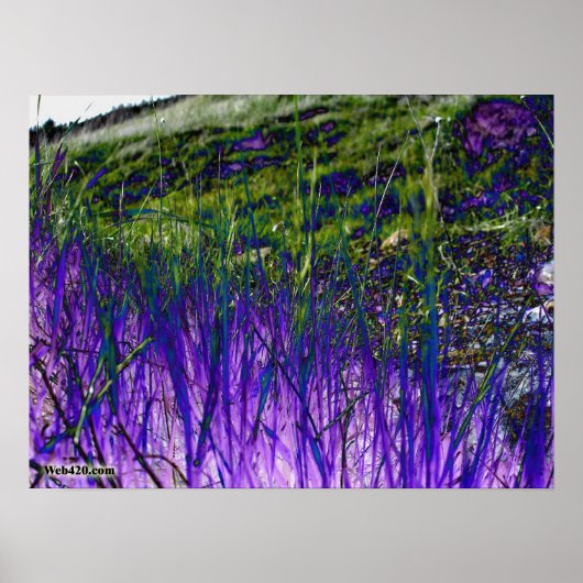 紫と緑 ポスター (正面)