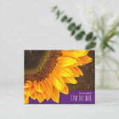 紫と茶色のひまわり結婚式の日付を保存 案内ポストカード (スタンド正面)