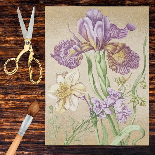 紫と金のヴィンテージアイリス植物画 薄葉紙