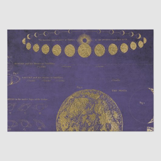 紫と金の古地図 薄葉紙 (正面)