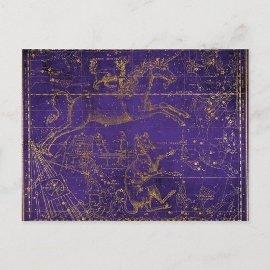 紫と金の神話のユニコーンの天の地図 ポストカード (正面)