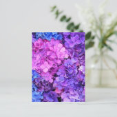 紫と青いあじさみの塊 ポストカード (スタンド正面)