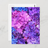 紫と青いあじさみの塊 ポストカード (正面/裏面)