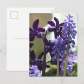 紫と青の春の花DIYはがき シーズンポストカード (正面/裏面)