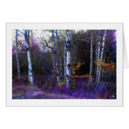 紫と青の《植物》アスペン